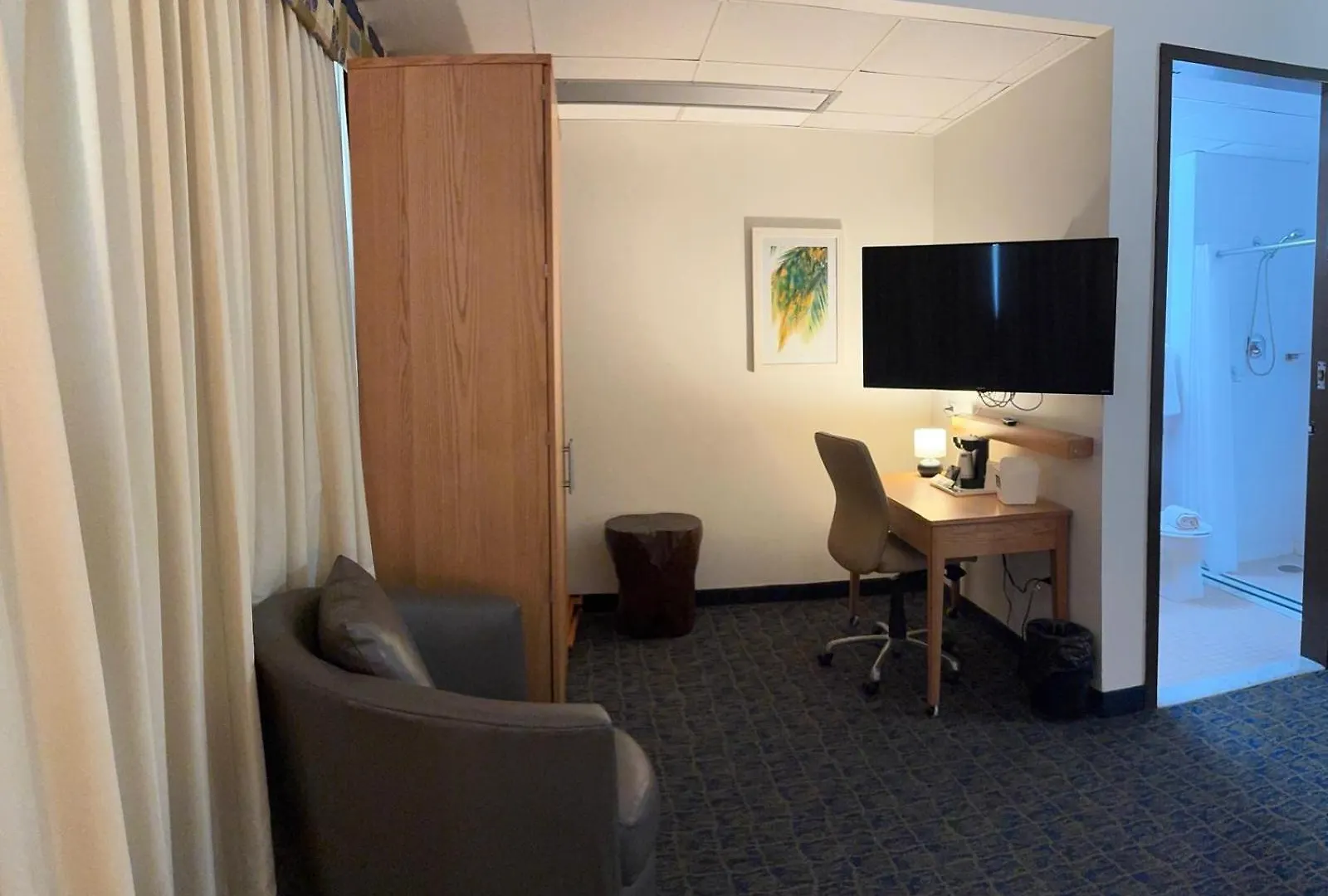 Ficus Hotel San Juan
